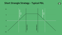 Strangle Option Strategy | Blog | Option Samurai